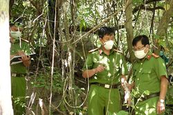 Tạm giữ nghi phạm sát hại bé gái 12 tuổi