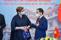 Làm sâu sắc các lĩnh vực hợp tác trụ cột giữa Việt Nam và Australia