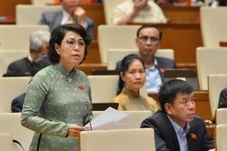 ĐB Tô Thị Bích Châu: Hàng cứu trợ về TP HCM 1 tháng chưa lấy ra được