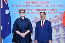 'Phụ nữ, Hòa bình và An ninh: Trên đường phục hồi sau Covid-19'
