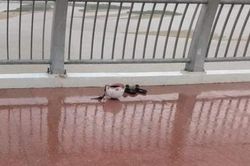 Nam thanh niên nhảy sông tự tử rồi bơi vào trụ cầu kêu cứu