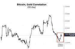 Giá Bitcoin hôm nay 11/11: Lạm phát cao sẽ đẩy giá Bitcoin và vàng lên cao