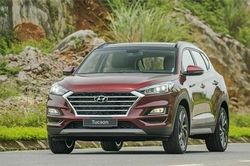 Doanh số bán xe của TC MOTOR tăng mạnh sau dịch