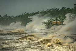 Hành động của loài người là chưa đủ tốt để cứu Trái Đất?