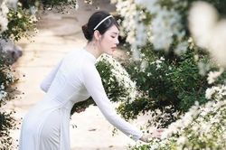 9X Phú Thọ đẹp tinh khôi bên hoa cúc họa mi