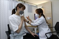 Hàn Quốc ra mắt ủy ban độc lập đánh giá an toàn vaccine ngừa COVID-19