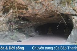 Vẻ đẹp động Bạch Á