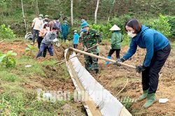 Hội Nông dân tỉnh thực hiện hoạt động 'ba cùng' với nhân dân tại xã Hợp Thành