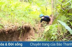 Ứng phó với nguy cơ sạt lở và lũ ống, lũ quét