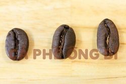 Cà Phê Ông Bi chia sẻ kinh nghiệm pha cà phê mộc bằng phin ngon