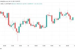 Giá Bitcoin hôm nay 15/11: Ổn định trên 64.000 USD sau bản nâng cấp Taproot