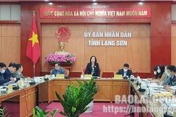 Giám sát tình hình thực hiện xây dựng nông thôn mới giai đoạn 2016 – 2020Tin khácMời bạn đọc, cộng tác viên gửi bài, ảnh cho Báo Lạng Sơn số Tết Dương lịch và Xuân Nhâm Dần 2022Doanh nghiệp nhỏ và vừa vững vàng vượt qua đại dịch