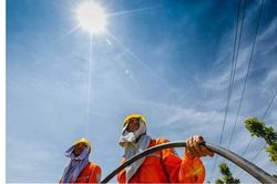 TPHCM có chỉ số tia cực tím gây hại cao nhất cả nước