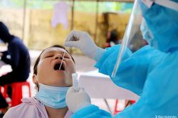 Sáng 17/11, Nghệ An ghi nhận 31 ca nhiễm Covid-19 mới, trong đó có 3 ca cộng đồng