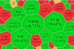 Cổ chứng khoán xanh mướt, VND chạm giá trần