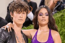SỐC: Camila Cabello và Shawn Mendes chính thức 'đường ai nấy đi' sau hơn 2 năm hẹn hò