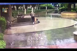 Mải xem điện thoại và cái kết 'đi vào lòng đất' của nam thanh niên