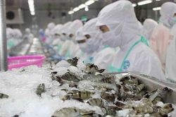 Thế mạnh Việt, nguồn thu tỷ USD đón điềm báo xấu từ Trung Quốc