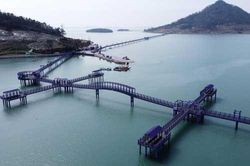 Hòn đảo tím gây 'sốt' tại Hàn Quốc
