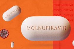 Sở Y tế TP Hồ Chí Minh đề nghị Bộ Y tế cấp thêm 100.000 liều Molnupiravir