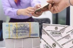 Quy định mới về việc tổ chức tín dụng mua trái phiếu doanh nghiệp