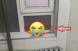Vào phòng tắm ký túc xá, nữ sinh đỏ mặt hét toáng lên bỏ chạy khi thấy 'vật thể lạ'