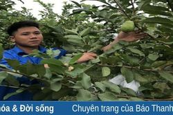 Đoàn viên làm giàu từ mô hình kinh tế trang trại tổng hợp.
