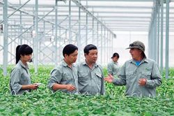 GlobalGAP - Hộ chiếu để nông phẩm Việt tiếp cận thị trường EU