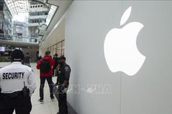 Apple khẳng định nhân viên có quyền thảo luận về tiền lương và điều kiện làm việc