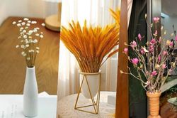 3 loại hoa lạ đẹp tinh khôi gây sốt 'cháy' chợ mạng