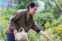 Muốn sống 'thật', giới trẻ Trung Quốc bỏ việc lương cao về làm nông