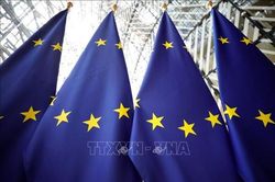 EU ủng hộ giải quyết tranh chấp trên Biển Đông dựa trên luật pháp quốc tế