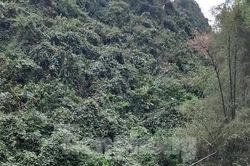 Lạng Sơn: Xôn xao thi thể cô buôn gà trên núi cao