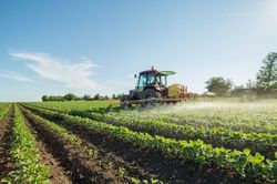 Canh tác thân thiện với khí hậu: Giải pháp từ sự tan chảy của các dòng sông băng