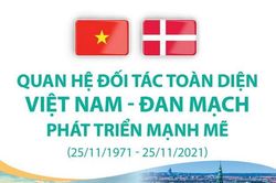 Quan hệ Đối tác toàn diện Việt Nam-Đan Mạch phát triển mạnh mẽ