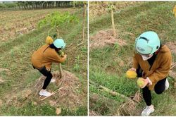 Đang ung dung trên đường, cô gái trộm đu đủ rồi lên mạng xin lỗi làm netizen xôn xao: 'Cái nết ai độ nổi'