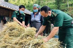 Bảo đảm nguồn thức ăn cho gia súc trong mùa đông