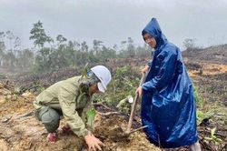 Kinh tế Kinh tế Trồng 100 ha rừng khu vực lòng hồ thủy điện Rào Trăng 3, Rào Trăng 4