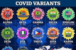 Covid-19: WHO công bố nguồn lây chính; phát hiện biến thể mới có số lượng đột biến cực cao