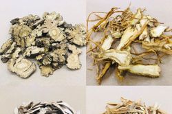 Đông y hỗ trợ điều trị Covid-19