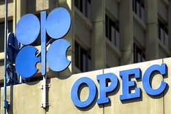 Nga, OPEC phản hồi kế hoạch xả kho dự trữ dầu chiến lược của Mỹ