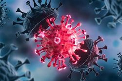 Biến thể virus corona khiến WHO họp khẩn nguy hiểm thế nào?
