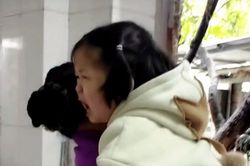 Ở với bà nội suốt mùa dịch, bé gái bật khóc không nỡ rời xa khi bố mẹ đón về khiến ai cũng xúc động