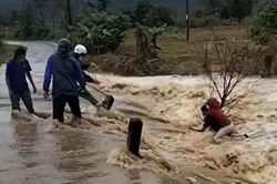 Cứu người phụ nữ ôm gốc cây giữa dòng nước lũ