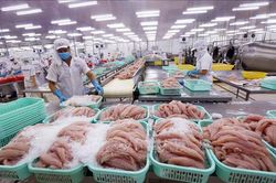 Kinh tế dần hồi phục: Doanh nghiệp quay trở lại, sản xuất công nghiệp khởi sắc