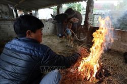 Bắc Bộ, Bắc Trung Bộ, khu vực vùng biển chủ động ứng phó với rét đậm và gió mạnh trên biển