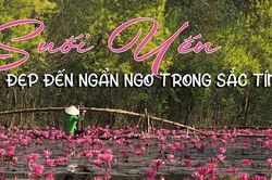 Suối Yến đẹp đến ngẩn ngơ trong sắc tím