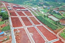 Bộ Xây dựng vào cuộc vụ phân lô, bán nền ở vùng chè Lâm Đồng