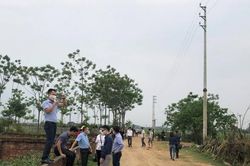 Giá đất vùng ven nổi sóng bất chấp dịch bệnh