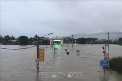 Mưa to, lũ lên nhanh, hàng ngàn căn nhà ở Bình Định bị ngập sâu